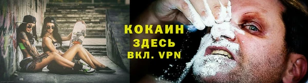 гидра Липки