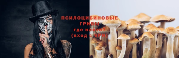 синтетический гашиш Лабытнанги