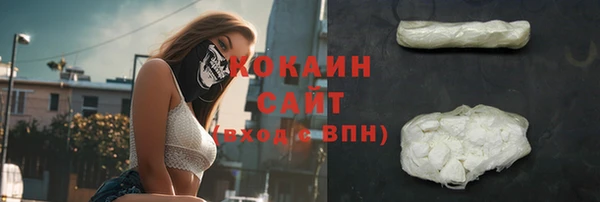 гидра Липки