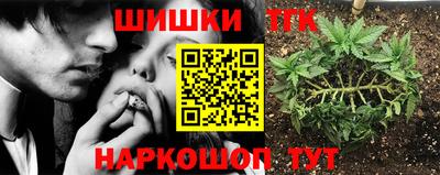 эйфоретик Коммунар