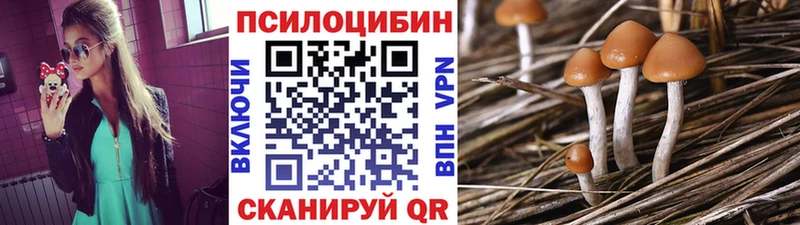 Псилоцибиновые грибы ЛСД  цены   Лесозаводск 